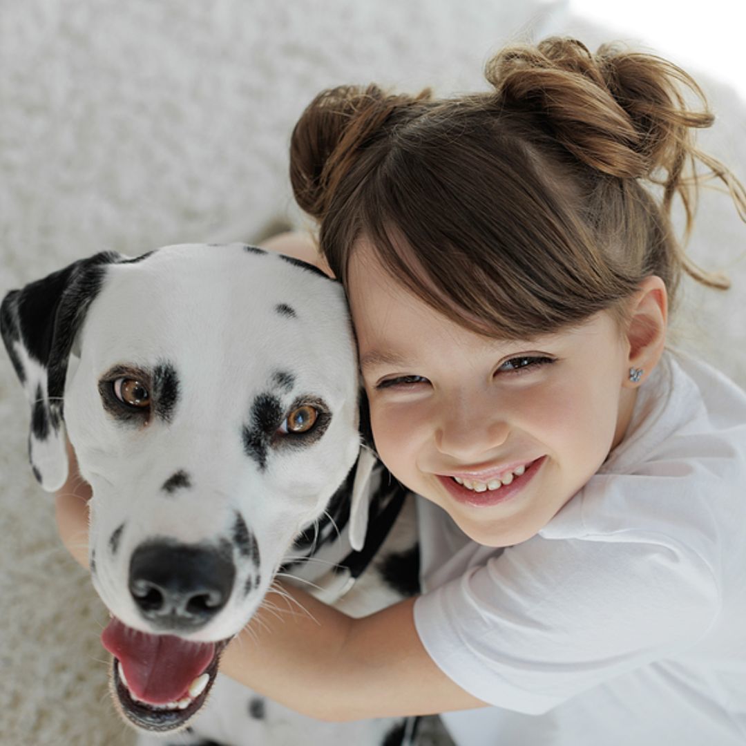 MagnaDryLaf's tweet photo. Are you having a hard time getting odors out of our carpets? Magna-Dry can help as our cleaning system provides an automatic level of deodorization. If the odor is still lingering, we can use chemical deodorizers designed to destroy odor-causing agents. https://t.co/t4yI34bwOB https://t.co/iZI2k6j6LS