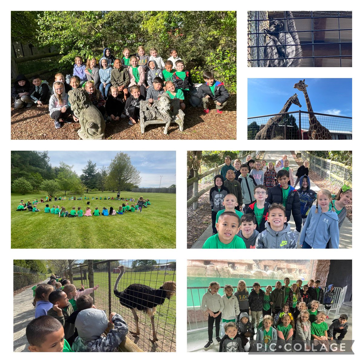 Field trips are our favorite! We had a blast at Brights Zoo! #TVtigers2023 <a href="/drlanaluttrell/">Lana Luttrell</a>