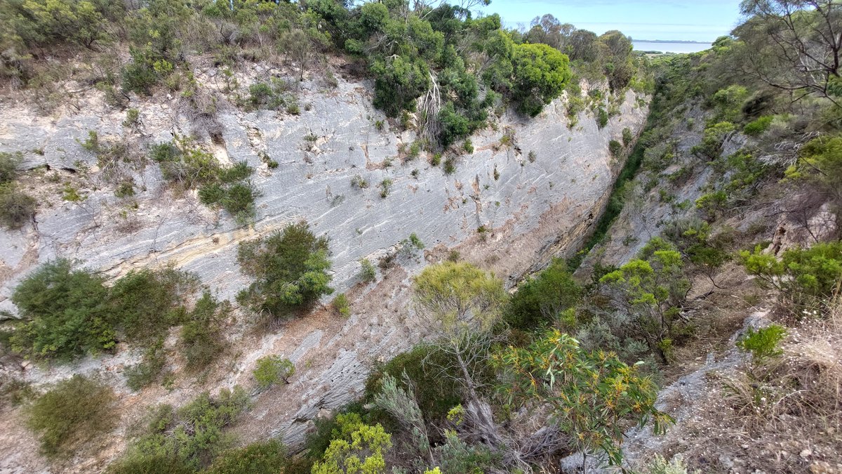 pfwaus's tweet photo. The Woakwine Cutting, a 1km long 28m deep canal to drain swamplands & thereby provide extensive farmlands between #BeachportSA & #RobeSA #SouthAustralia #Australia #Travel #TravelOz #History https://t.co/9IvhNZlF7V