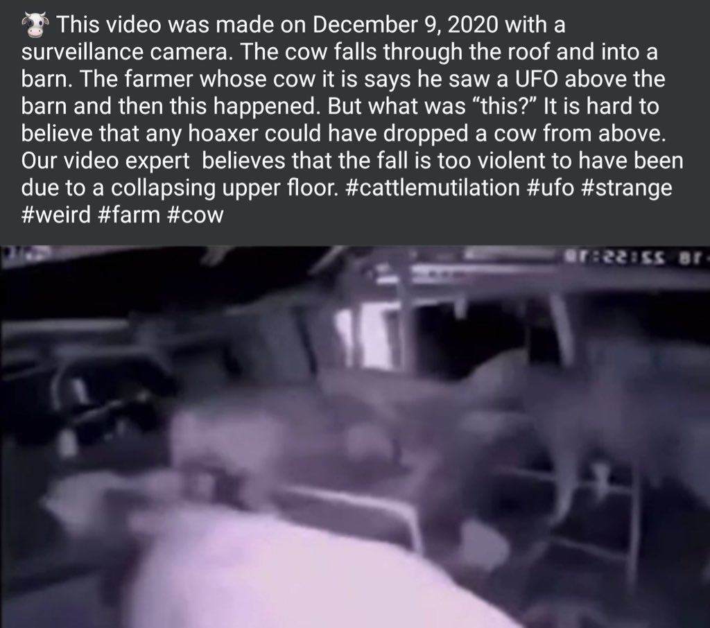 528vibes's tweet image. 