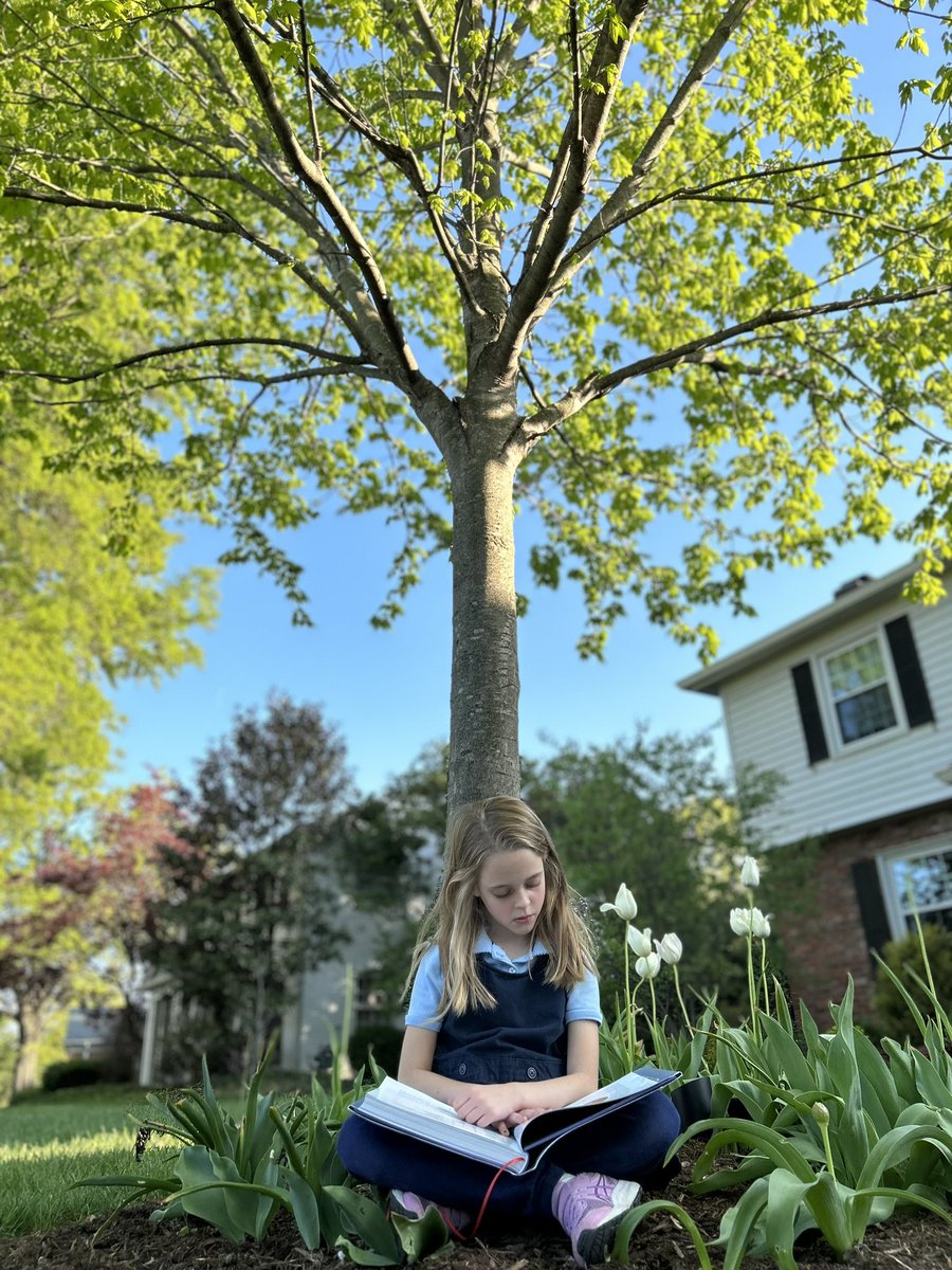 MD_Kinney's tweet photo. @Brightsidelouisville
#BrightsideLouisville
#ReadUnderATree https://t.co/mGK685c1ee