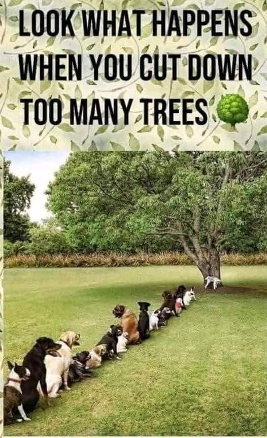 🤣🤣🤣👏👏