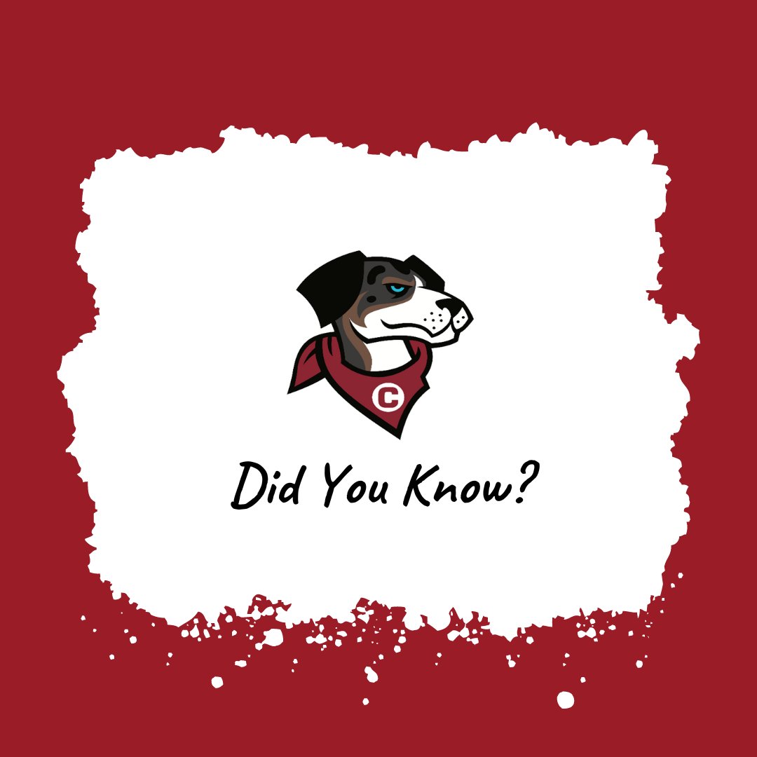 Centenary Athletics tweet media