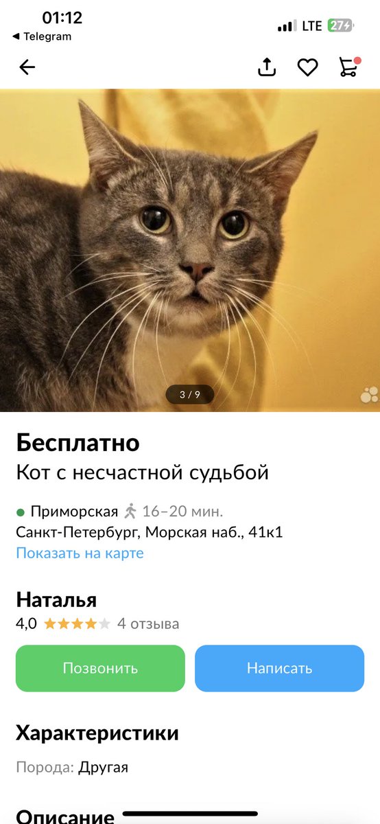 Если вы вдруг давно не ревели,это Сержик,там такое описание его судьбы что хочется умереть от горя.
Питер,может кто давно хотел любимого и надежного друга?
Посмотрите может это именно он?

avito.ru/sankt-peterbur…