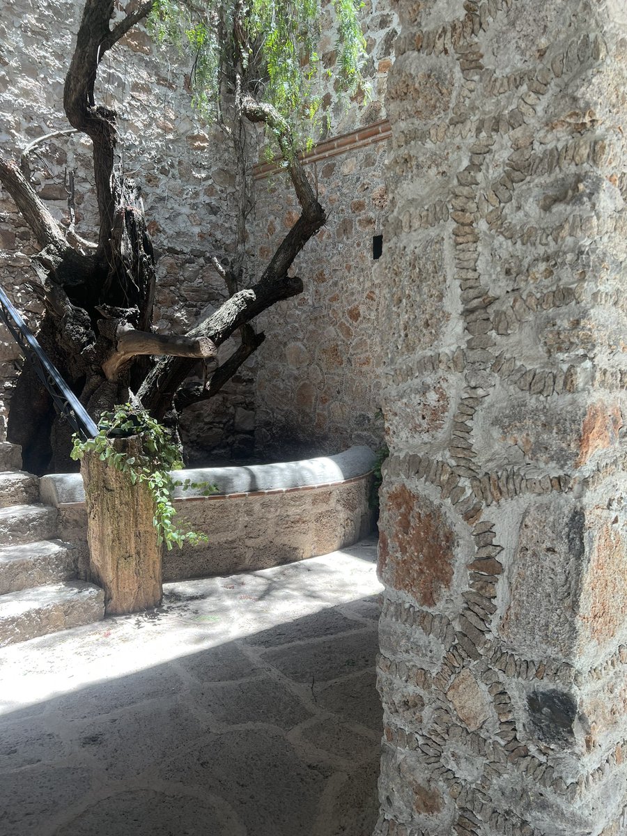 Fischerelfish's tweet photo. En la hacienda Tovares https://t.co/UZH3GR8Ksk