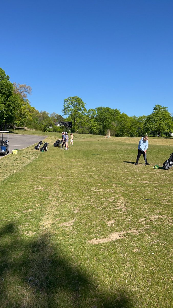 Springfield Yellow Jacket Golf tweet media
