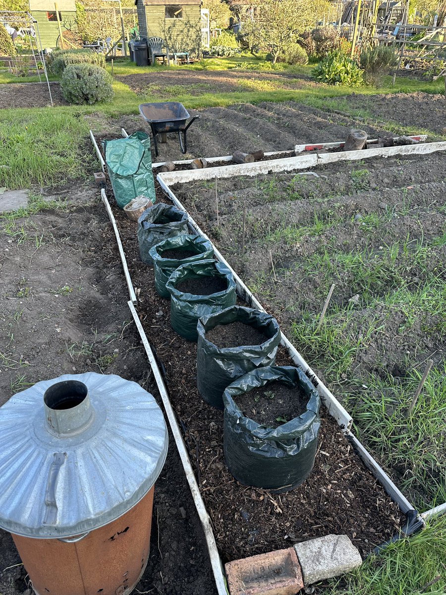 Planning &amp; Prepping looking forward to a good year of crop 🥕🥔🌶️🥒🌽