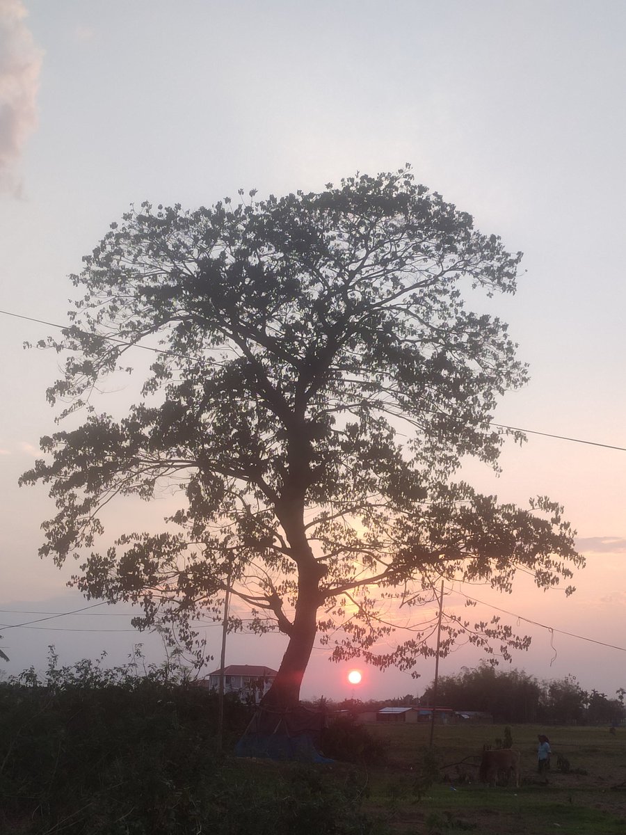 sema_esther's tweet photo. Serenity of nature's beauty ❤️ https://t.co/kqhxGGherw