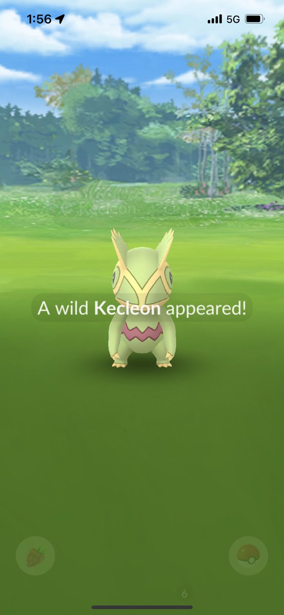 milieva13's tweet image. Number 4 didn’t want to stay after an #excellent ultra. How am I supposed to collect 10 for the #MasterResearch if they run?! #PokemonGO #CatchThemAll #Not #kecleon