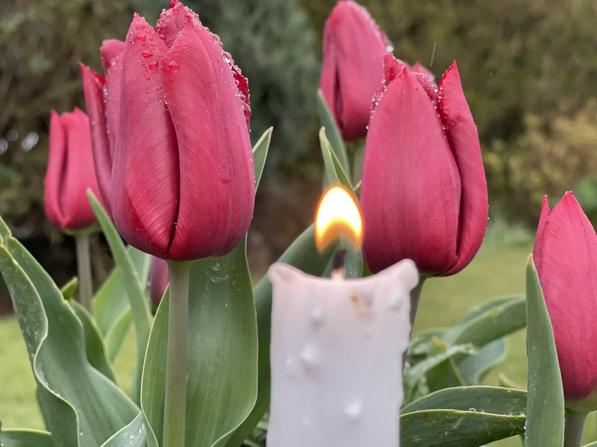 DrDMacaskill's tweet photo. In this #MSAwarenessWeek I light this #candleforcare thinking of all who live with #multiplescelrosis, those who love, support and care for them at all stages of the disease. #careaboutcare https://t.co/LZmWxYag0S