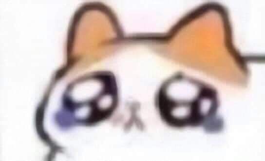 Se muda conmigo. Soy el más felíz.