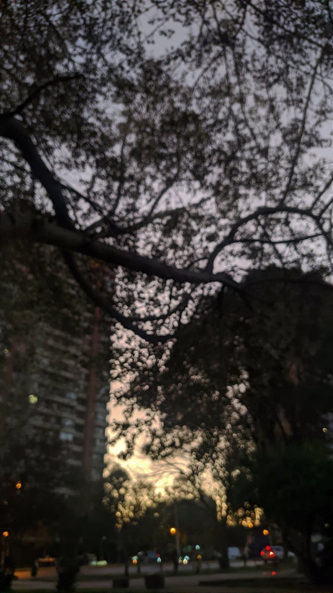 __Cazocar's tweet photo. Atardecer de Santiago 😍
#SantiagoChile https://t.co/Y3jTLUyoBE