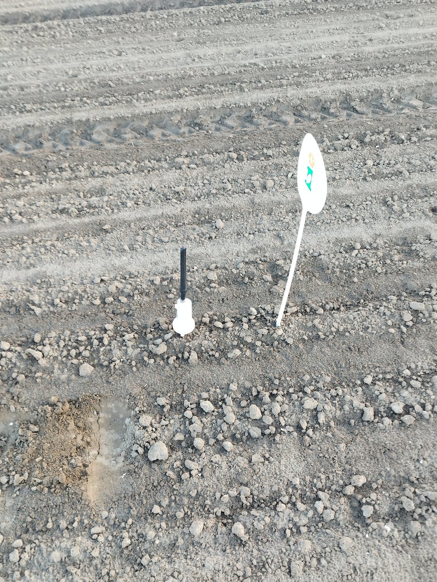 DuyseJos's tweet photo. Scheelt weer in de grond krauwen. #vochtsensor #juun https://t.co/a4bniwhCDz