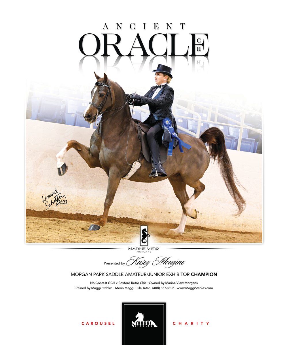 National Horseman tweet media