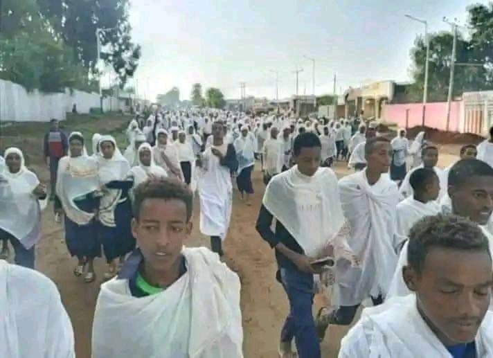 የፋኖ ስብስብ በጉንቹሬ ምድር