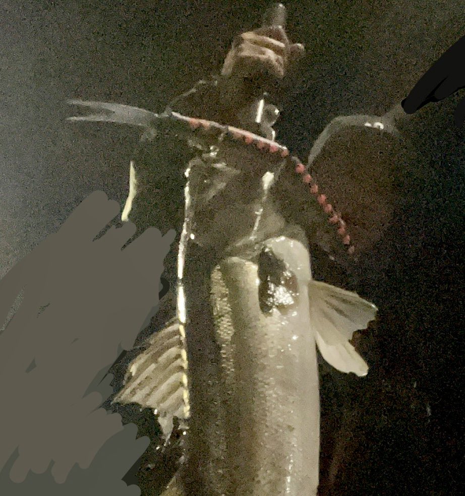 hi_and_low's tweet image. ゴーストでの念願の初フィッシュ！
そしてまさかのおかわり。
帰宅してからもジワる❤️

#drt 
#klash
#ゴースト
#ghost
#湾奥河川
#シーバス
#ジャイアントベイト
#ビッグベイト