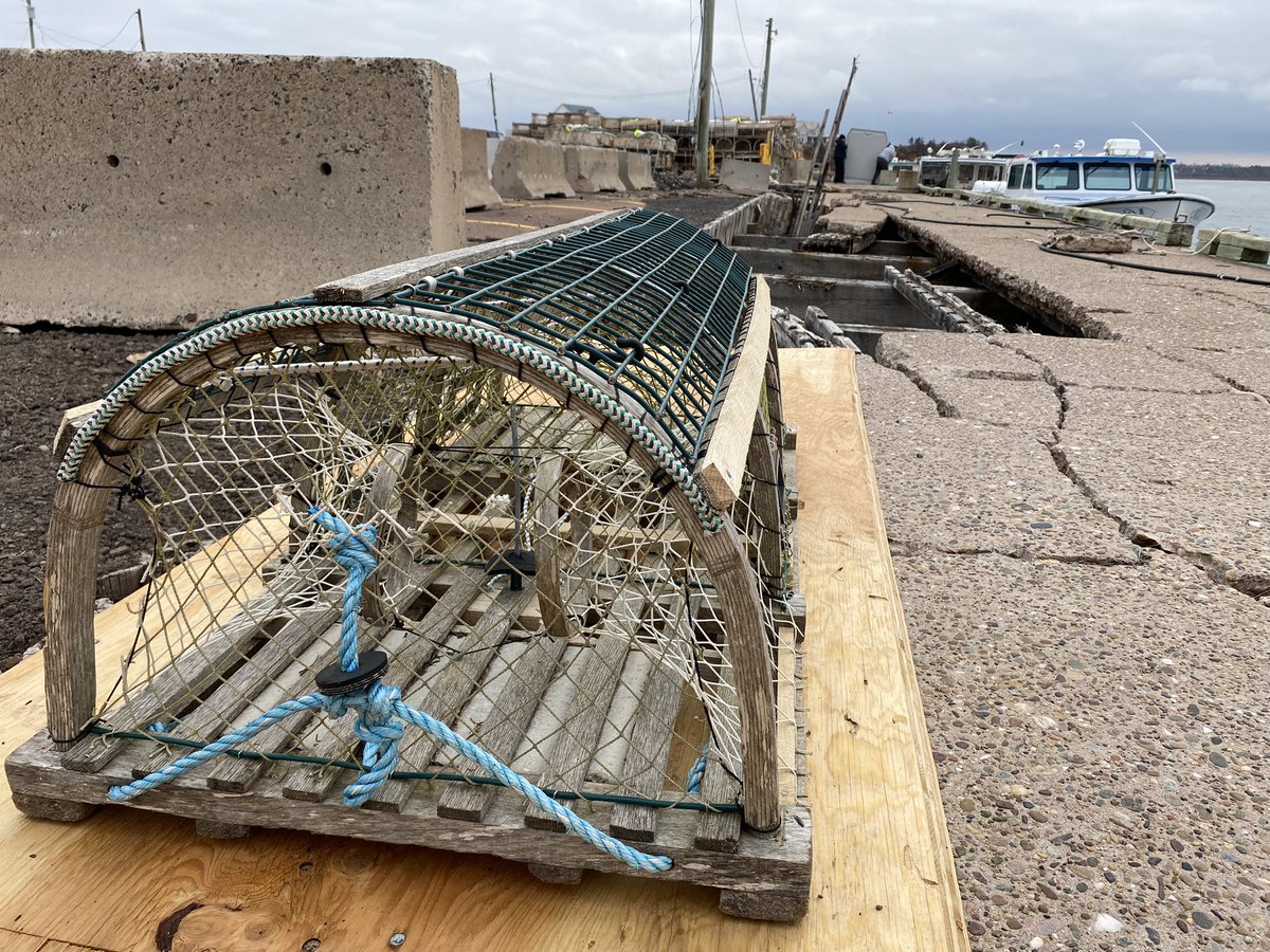 Jack Morse tweet media