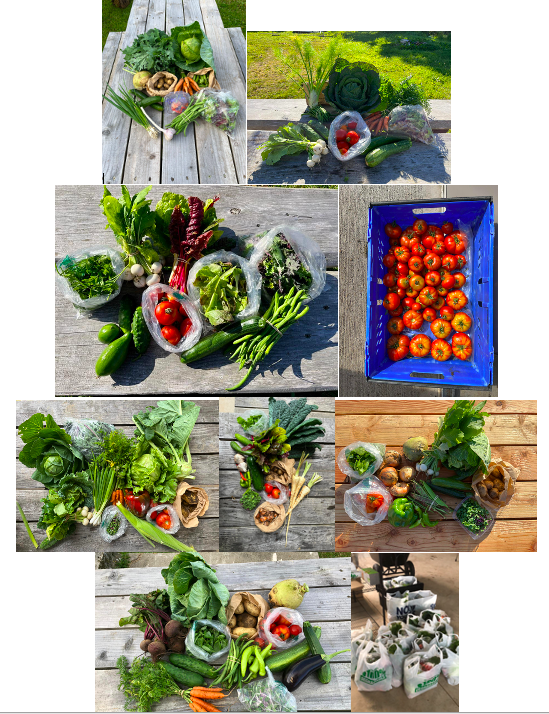 New Veg Boxes and Food Waste Pick up Service for 2023 - mailchi.mp/c9c8ab5b12ed/q…