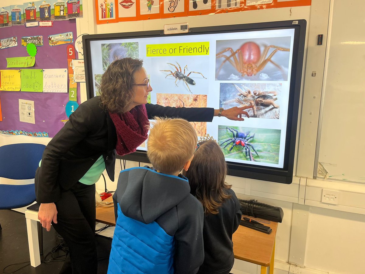 Carrigtwohill Community National School tweet media