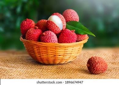 TheGoodLifeFeed's tweet photo. Litchi [Lychee] - Asia's most beloved fruit                                                                                       

With a bright reddish pink exterior and sweet pulp, litchi is a very enticing fruit.  It has a juicy flavour with cooling effect 
#HealthyLiving https://t.co/dpfxhsHpL0