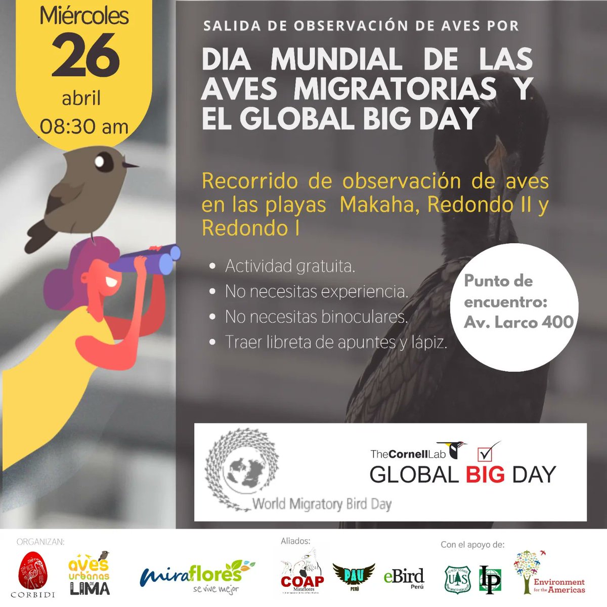 AvesUrbanasLima's tweet photo. Ya viene el #DiaMundialdelasavesmigratorias y podemos celebrar promoviendo la #observaciondeaves o #birding mediante el #GlobalBigDay que será el 13 de mayo
#QuehacerenLima #observaraves #naturalezadelima #circuitodeplayas https://t.co/rATQSZW8Pe https://t.co/dxDnD3qjCr