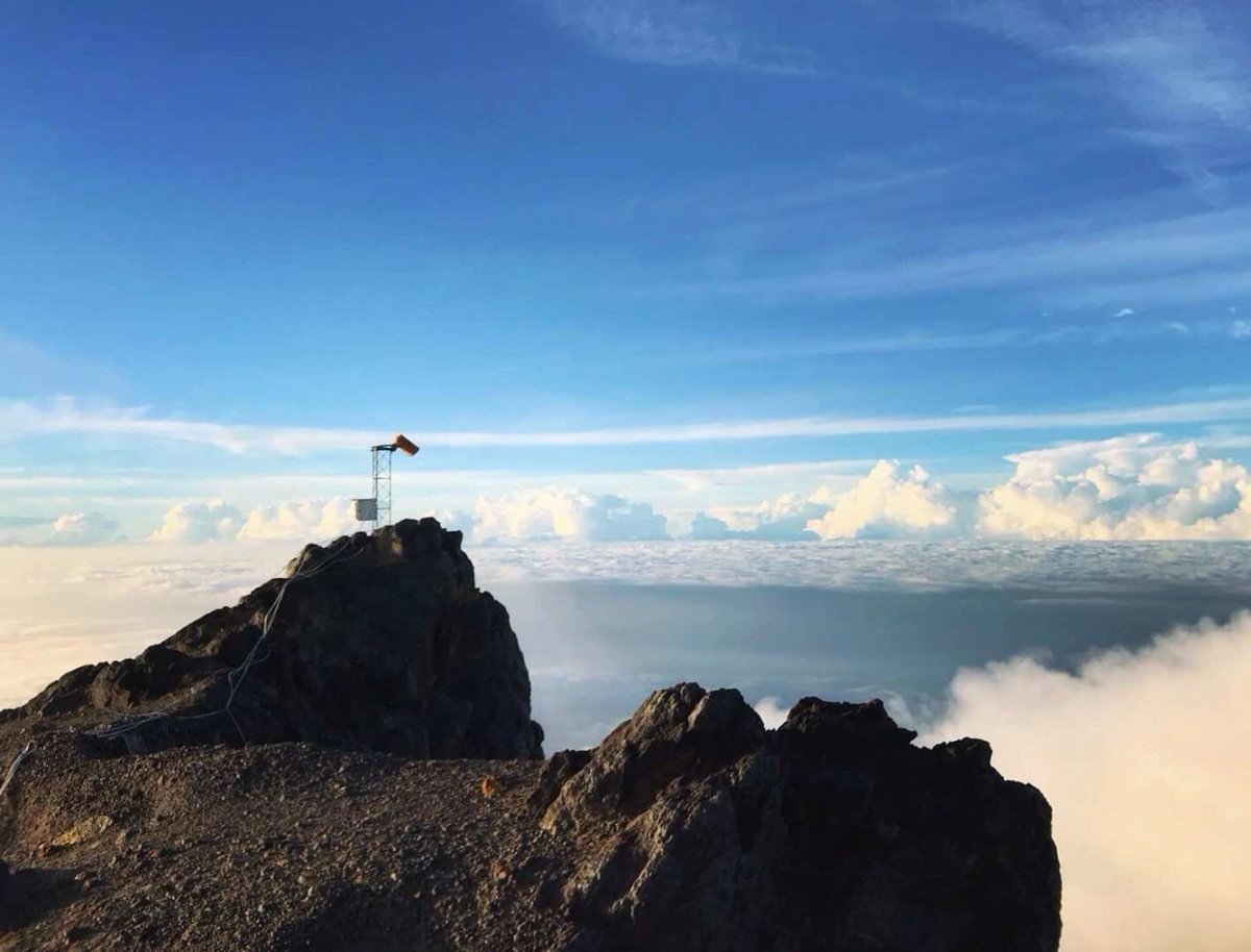 Hiking won't give you the answer, it will make you forget the problem.🥰