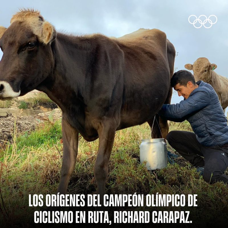 juegosolimpicos's tweet photo. "𝗡𝗼 𝗼𝗹𝘃𝗶𝗱𝗼 𝗺𝗶𝘀 𝗿𝗮𝗶́𝗰𝗲𝘀. 𝗘𝘀𝘁𝗼𝘆 𝗺𝘂𝘆 𝗼𝗿𝗴𝘂𝗹𝗹𝗼𝘀𝗼 𝗱𝗲 𝗱𝗼𝗻𝗱𝗲 𝘃𝗲𝗻𝗴𝗼."

Ni el oro olímpico de #Tokyo2020 ha cambiado a Richard Carapaz. 🚴🇪🇨

Descubre más de su historia, orígenes y trayectoria. 👇

#JuegosOlímpicos