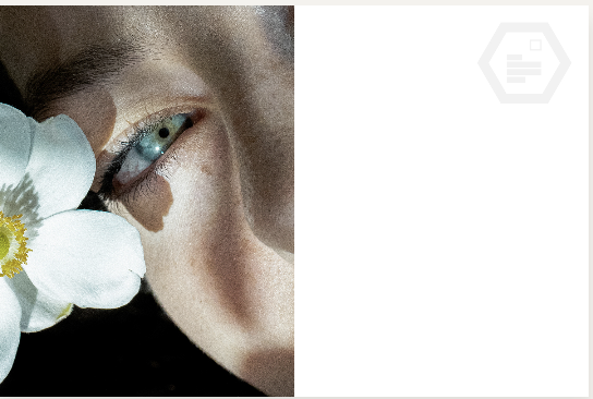 ReativeArt 🔴 tweet media