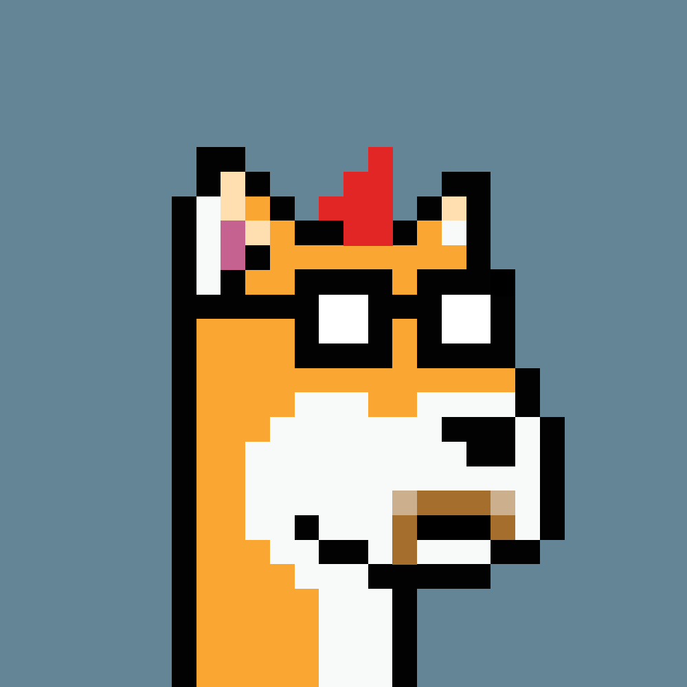 ordinaldoggies's tweet photo. @BitChunks From @DogePunksBTC https://t.co/v19oZQelFp