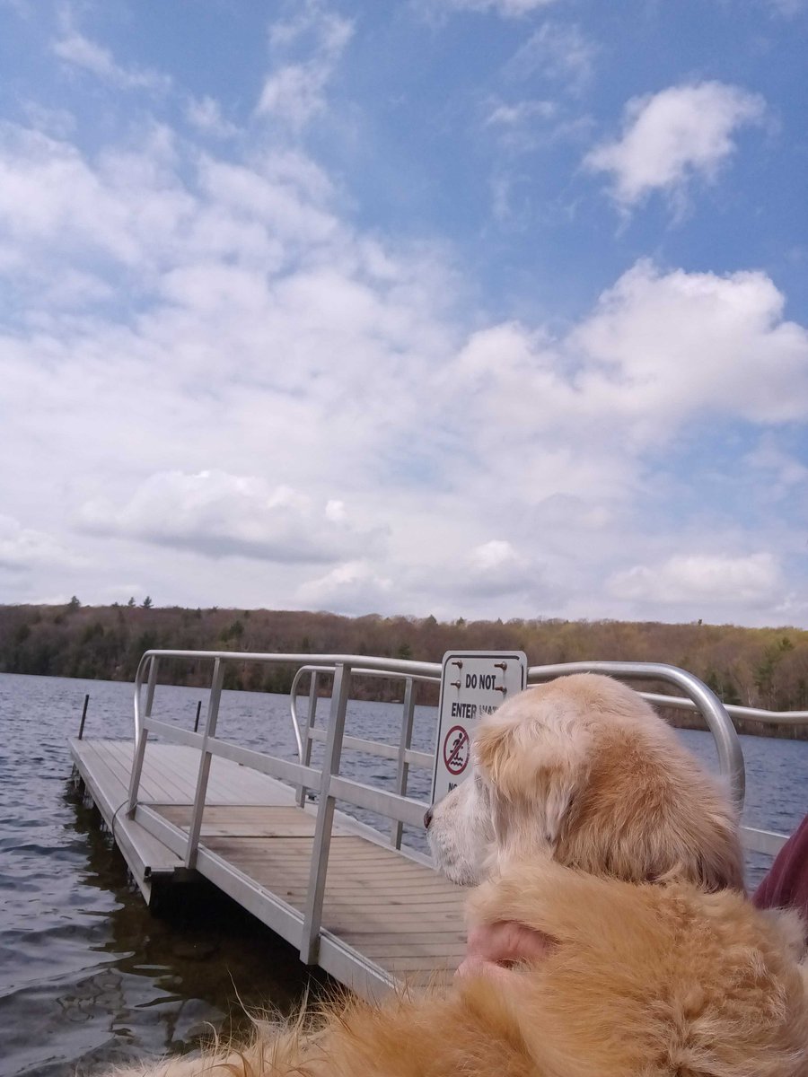 Just got back from a trip to my favorite lake with Daddy. The water was 🥶  but I was so glad to get back to my happy place