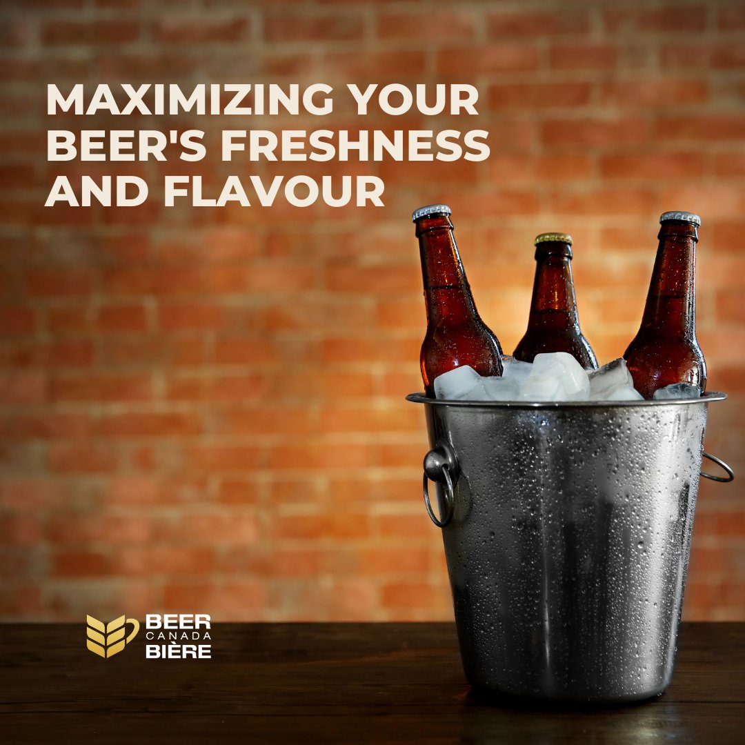 BeerCanada's tweet photo. A few tips to ensure beer stays fresh &amp; flavourful for as long as possible: Keep it cool (ideally 7-13°C), avoid light, store it upright, and don’t shake it. It is also best to store for a limited time and chill before serving. Cheers!  #BeerTips #Beer https://t.co/gIx1MRwNY9