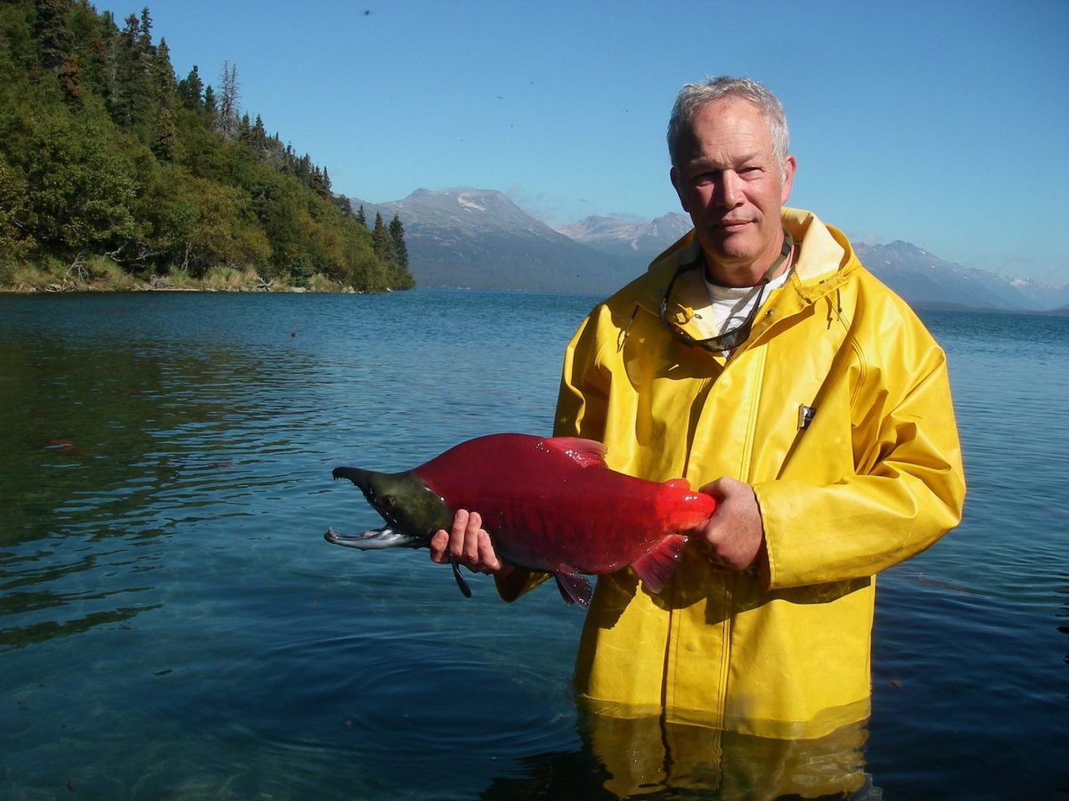 CurryCunningham's tweet photo. Friday, April 28 @ 3:00 pm Alaska:

Dr. Thomas Quinn @UW_SAFS will be giving the last @UAFcfos Fisheries Seminar of the semester:

Changing themes in salmon conservation: A 45-year personal perspective

Join in person, or via Zoom -  register in advance: https://t.co/ODXctL1C4I https://t.co/ezDJ27dj2b