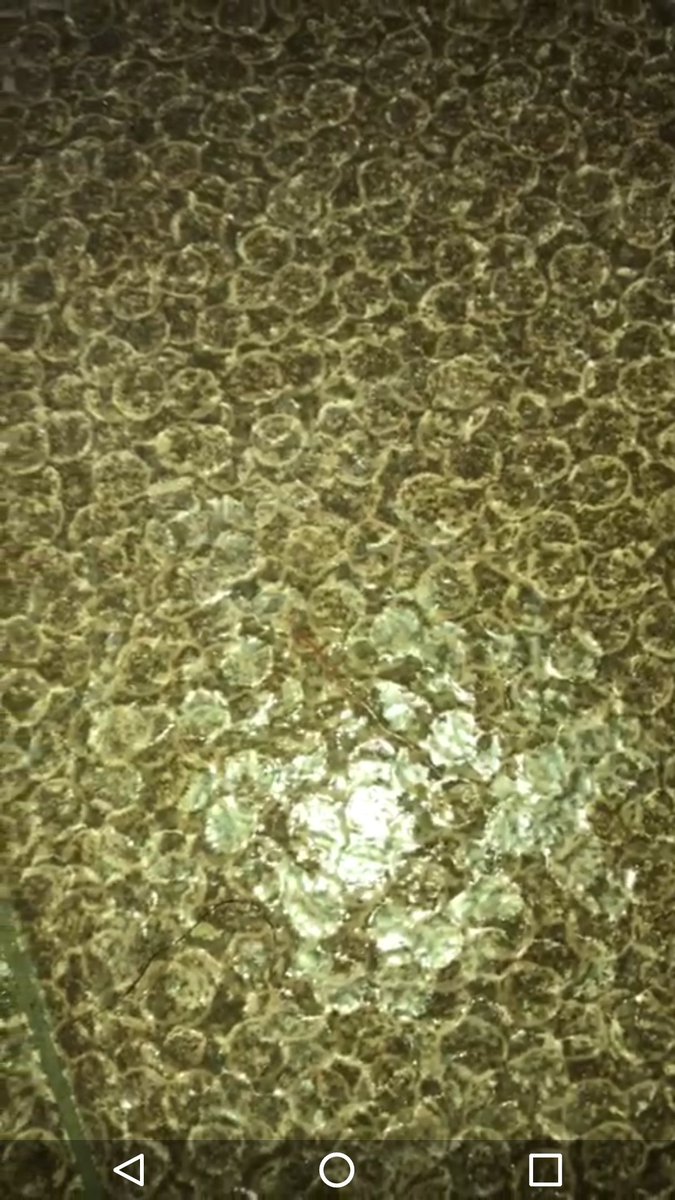 PNT_Global's tweet photo. Can anyone spot worm in this image? https://t.co/aOZcmfOtOz