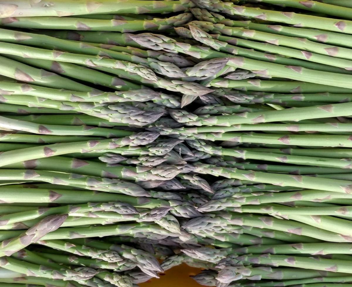 GodfreysFarm's tweet photo. Asparagus season is definitely here! https://t.co/AWDRcIPAsQ https://t.co/CxlVKLbADg