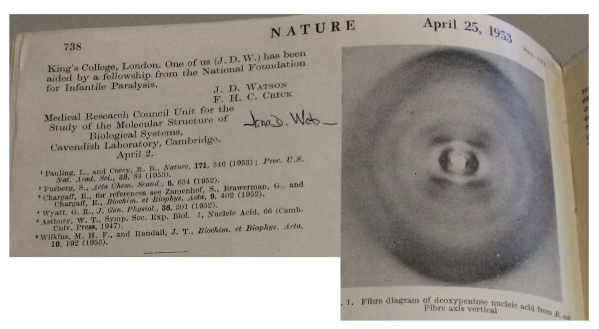 Samuele Metti (@mettisamuele) on Twitter photo Happy #DNADay2023 🧬! Exactly 70 years ago, on April 25th 1953, a single-page <a href="/Nature/">nature</a> article changed #science!
Who knows when Dr James Watson signed a copy of his paper at <a href="/UniPadova/">Università di Padova</a>? <a href="/DiBio_UniPD/">Department of Biology – University of Padova</a> <a href="/PhD_DSB_UniPD/">PhD in Biomedical Sciences - UNIPD</a> <a href="/DMM_Unipd/">Dipartimento di Medicina Molecolare DMM - Unipd</a> Happy #DNADay2023 🧬! Exactly 70 years ago, on April 25th 1953, a single-page <a href="/Nature/">nature</a> article changed #science!
Who knows when Dr James Watson signed a copy of his paper at <a href="/UniPadova/">Università di Padova</a>? <a href="/DiBio_UniPD/">Department of Biology – University of Padova</a> <a href="/PhD_DSB_UniPD/">PhD in Biomedical Sciences - UNIPD</a> <a href="/DMM_Unipd/">Dipartimento di Medicina Molecolare DMM - Unipd</a>