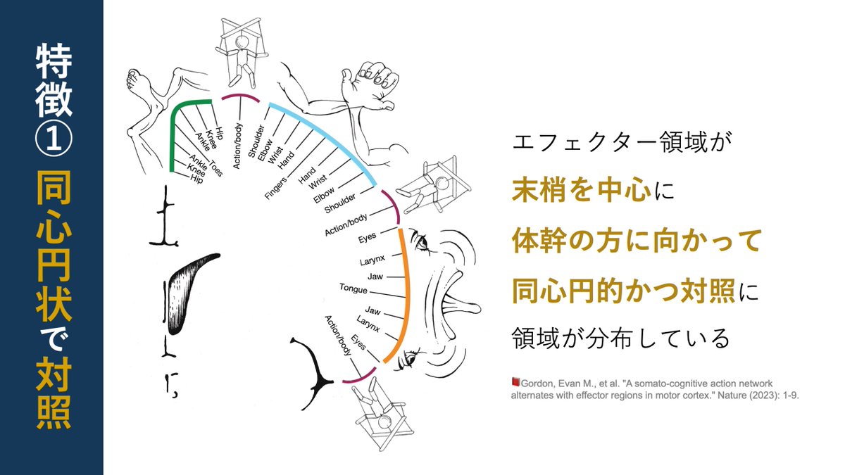 copellist tweet picture