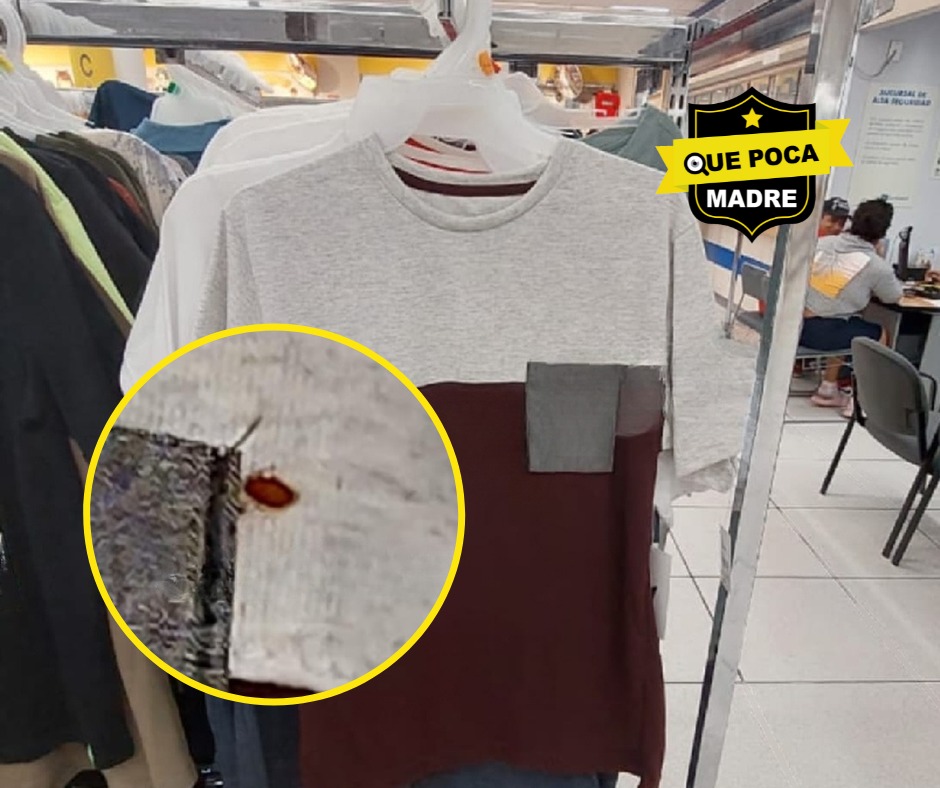 QuePocaMadre_Mx's tweet photo. 🤢❌ QUE ASCO‼️ #CHINCHES EN #COPPEL MEXIQUENSE 🪳😨🚨
#DenunciaCiudadana

Detectamos chinches en varias prendas del @Coppel de Av. Tezozomoc, aquí en #ValleDeChalco, #Edomex, comparto la fotografía; ojalá la gente tome sus precauciones y sobre todo ojalá la tienda fumigue. https://t.co/D293ptwfMi