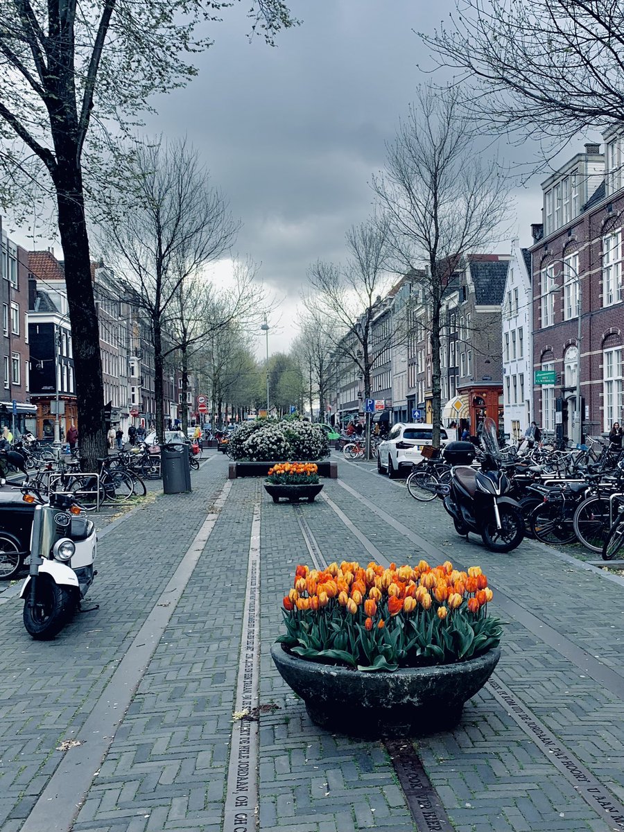 dodinatop's tweet photo. Los tulipanes se toman la ciudad 💐🌷
#tulips #amsterdam #iamsterdam #windy #rainyspring https://t.co/pcE5BuJTSs