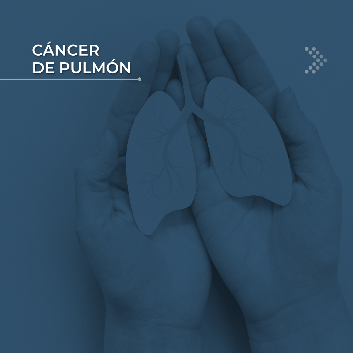neumologiauy's tweet photo. 𝗖𝗮́𝗻𝗰𝗲𝗿 𝗱𝗲 𝗽𝘂𝗹𝗺𝗼́𝗻
+𝗶𝗻𝗳𝗼 ➡️ https://t.co/T0gPoXltbr

#neumologia #enfermedadesrespiratorias #saludrespiratoria #cancerpulmonar https://t.co/SBCLWQ0gYg