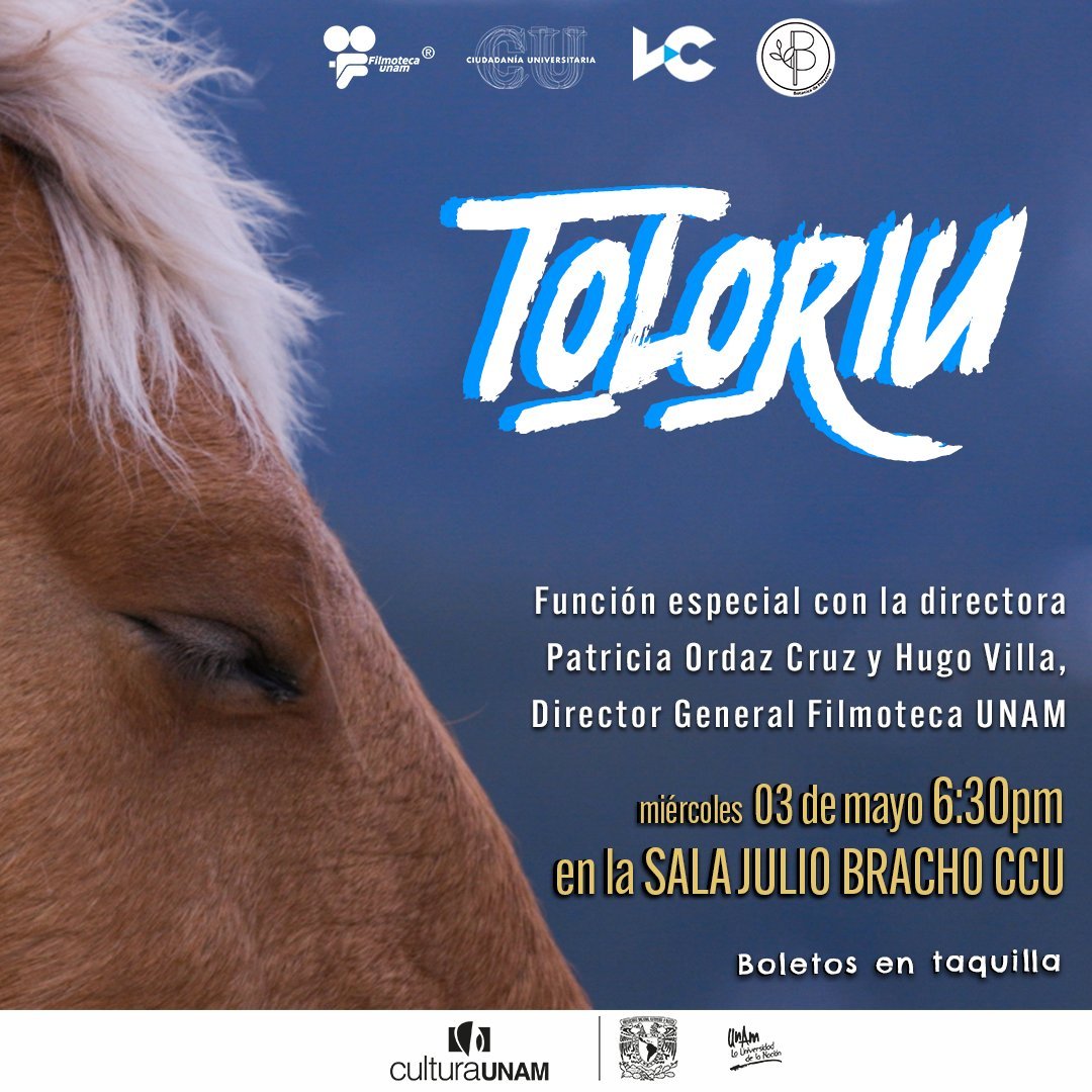 FilmotecaUNAM's tweet photo. En Toloriu, un pueblito enclavado en los Pirineos catalanes, se cuenta la leyenda de la hija del emperador Moctezuma, llevada ahí durante la Conquista de México.
A partir del 3/may no te pierdas 'Toloriu' (2020).
¡Nos vemos en la función de estreno!
📍Sala Julio Bracho CCU. https://t.co/z0XoIbTRyv
