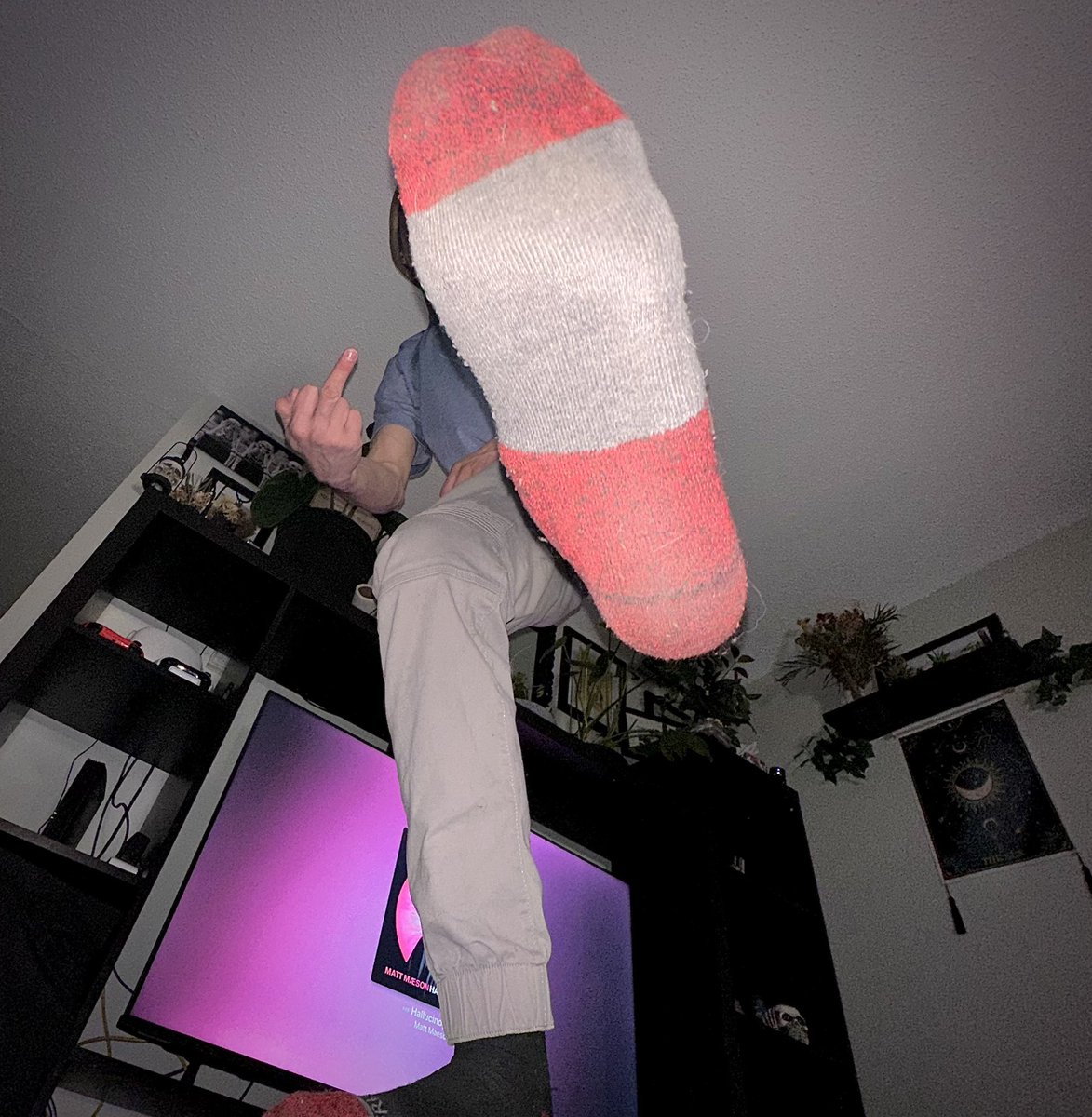 AlexAboveYou's tweet photo. Sniff my dirty socks while I laugh at you, pig.🐷👇

#malefeet #sockfetish #dirtysocks #stinkysocks #giantfeet #macro #findom #cashmaster #alphamalefeet 

@rt4dom @RTfindomMasters @RTboy_ @RT2AUL @RTslavemaster @officer_rt https://t.co/OYyzrLYCfY