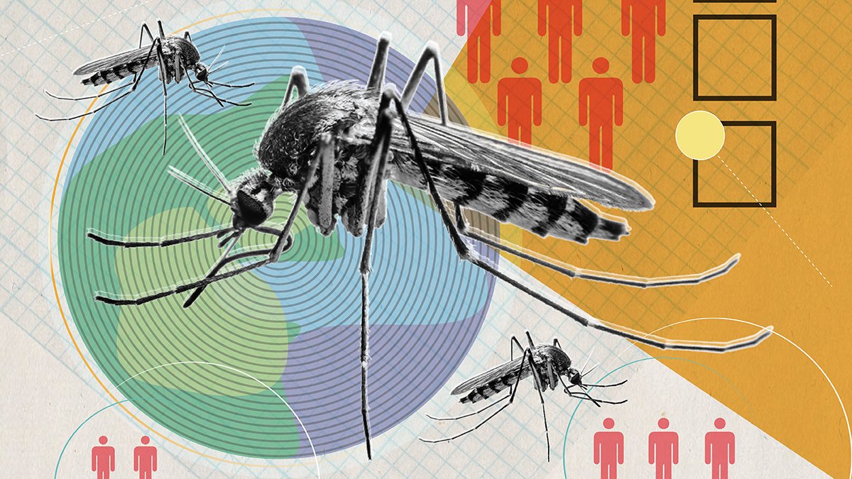 Malaria remains one of the world's deadliest infectious diseases, so why do we still lack a more effective vaccine?

To mark #WorldMalariaDay, <a href="/ejyager/">Eric Yager</a> explores the multifaceted challenge of malaria vaccine development...

👉🏼 bit.ly/3As82JD