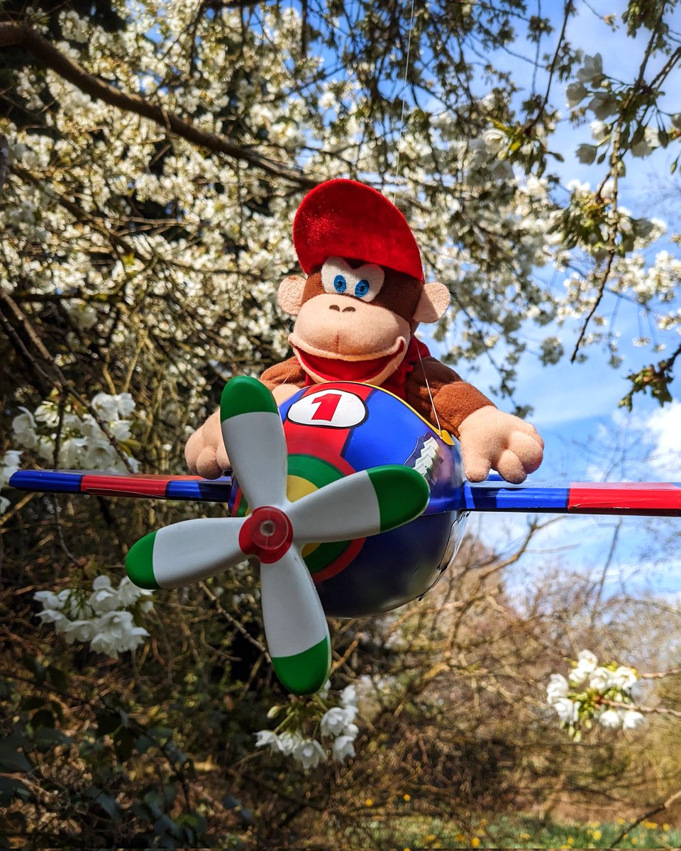 Flying into Spring 🛩️ #intimsworld #diddykongracing #diddykong #N64 #Nintendo #Collectible #plane