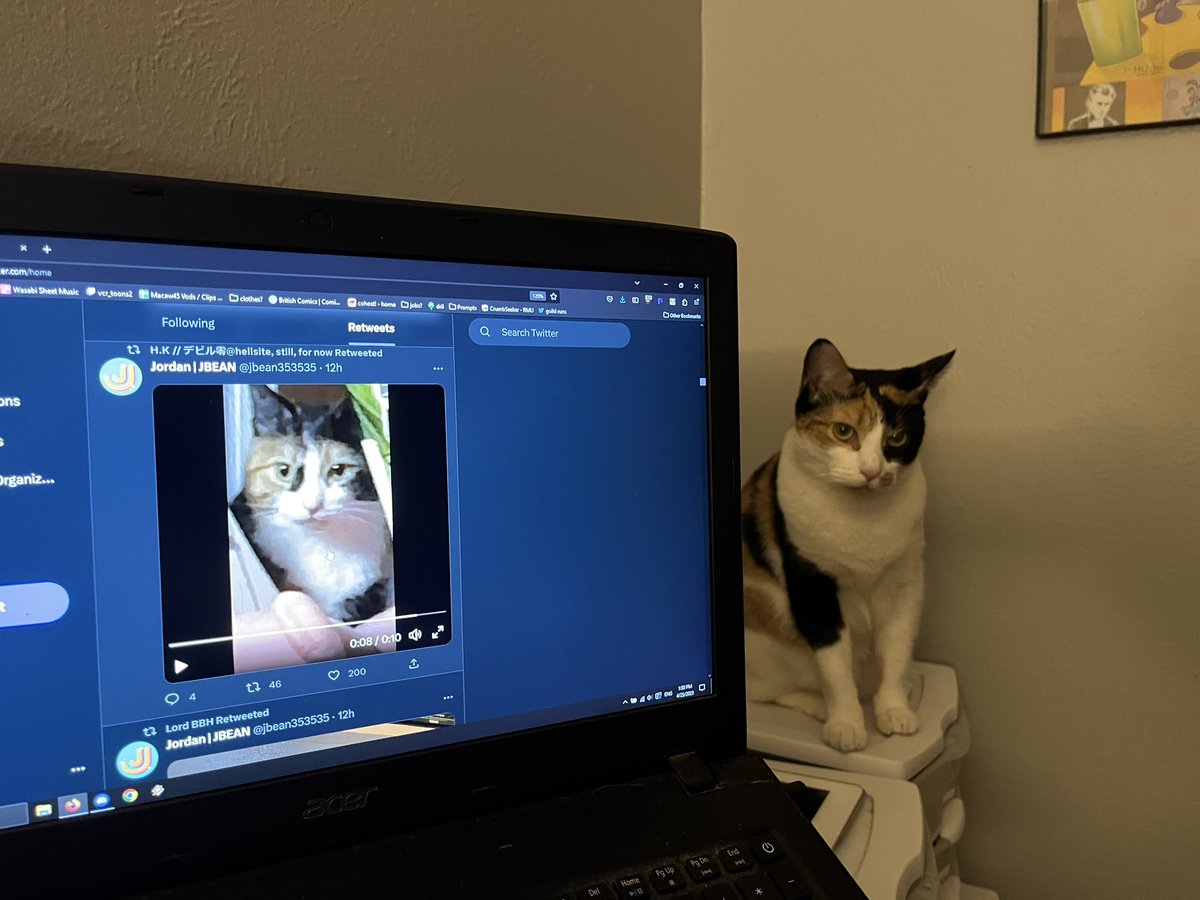 Someone is mad I’m looking at other calicos