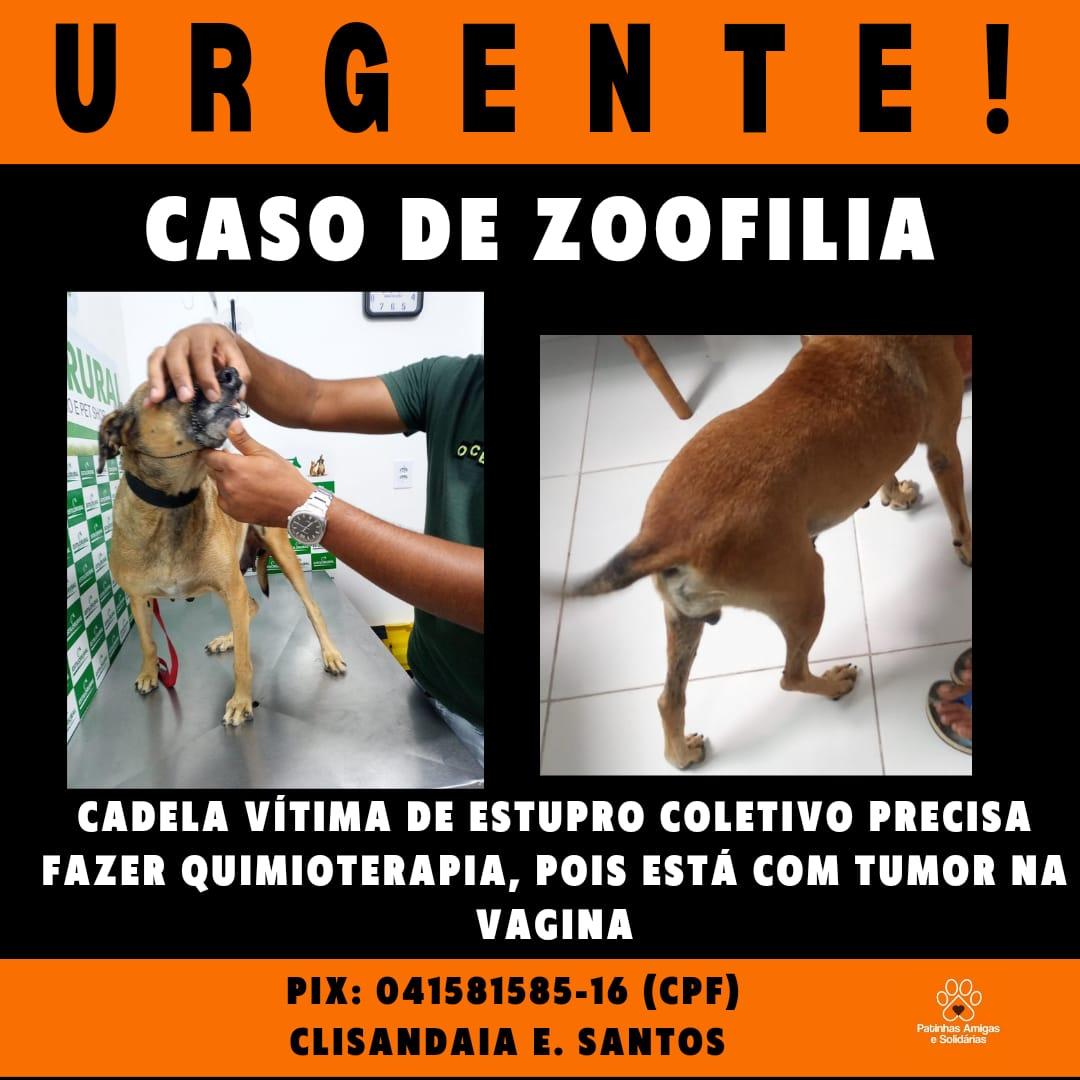 AlvesJutay's tweet photo. Urgente! https://t.co/B2o2IoZM3X