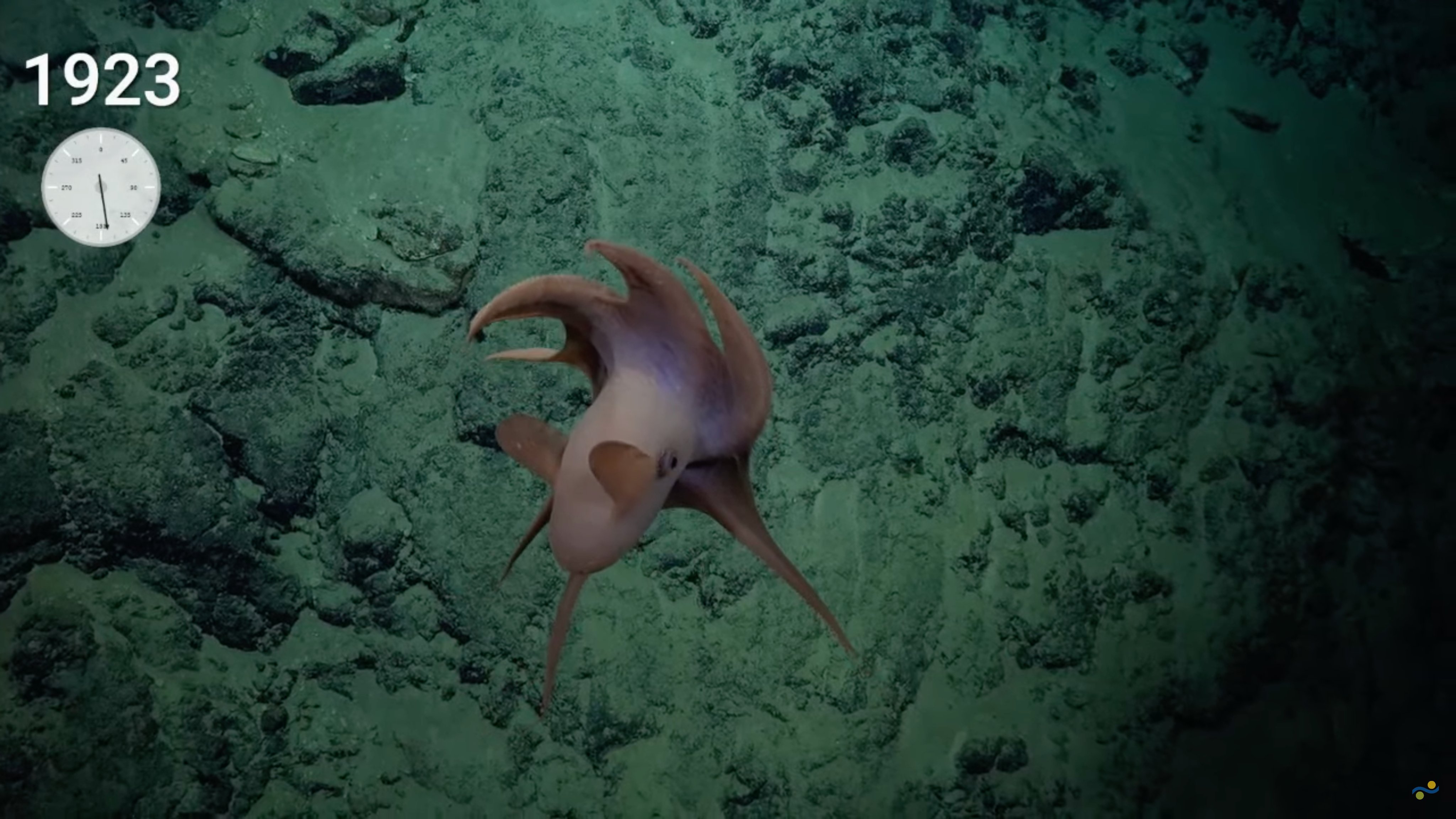 Schmidt Ocean on X