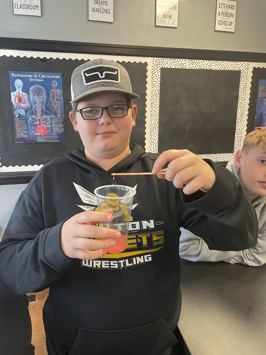 ChelseaJacobs23's tweet photo. After learning about DNA last week, we had fun extracting it from strawberries today! 🍓#fmsteach https://t.co/6WI8XgKSPw