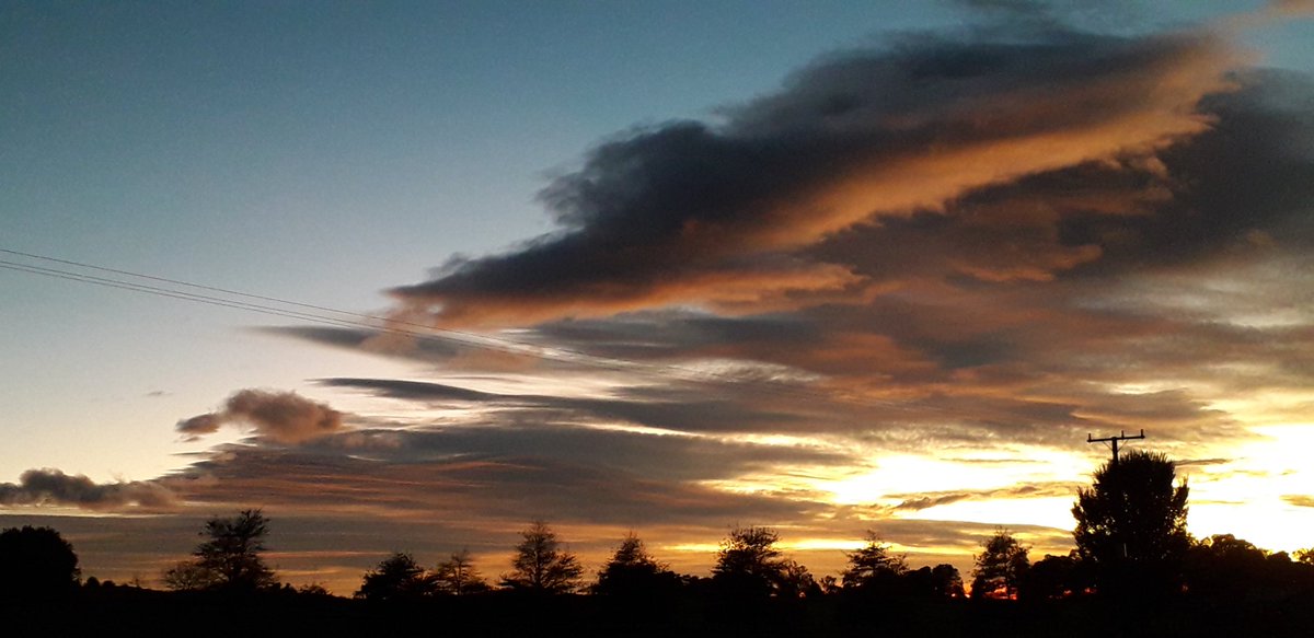 JerseyAngus's tweet photo. So busy watching dawn breaking I forgot Blue had Monkey, and Monkey is now somewhere in a paddock 🤔😖
East Coasters will be getting the most FABULOUS sunrise today! 🥰
RED. Like a FIRE ENGINE!
#RedBlooded #BloodBrothers #RedBloodedButWeveAllGotDifferentMothers https://t.co/XPm7c16WX3