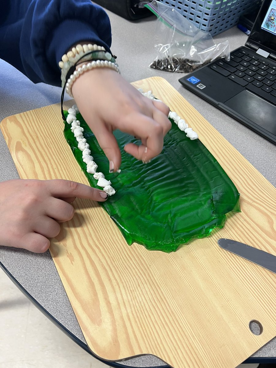 s_nods's tweet photo. Grade 7/8Ss working hard on their edible #3dcellmodels #scienceisfun #STEAM #stgregoryschoolpowassan #npscdsb @npsc_schools @neuOECTA https://t.co/7NF6Vi8AGB