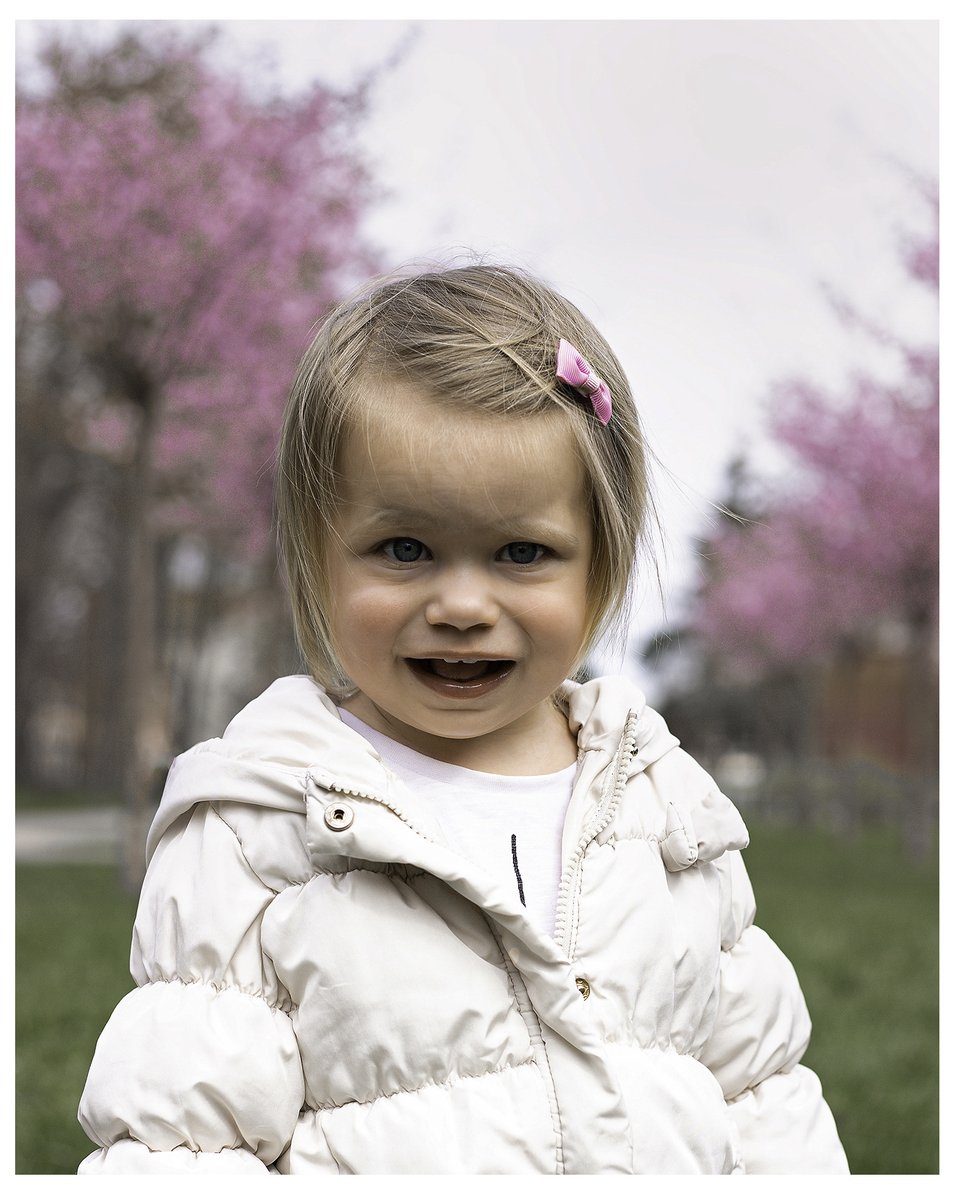 Janette_jake_'s tweet photo. Rožinis pavasaris 📷 Pink spring 📷
#sakura #spring #lithuania #shotsbyblondie #fotografe #kidsphotography #outside #pink #white #girl #toddler @ShotsbyBlondie https://t.co/OtiBYetEN1